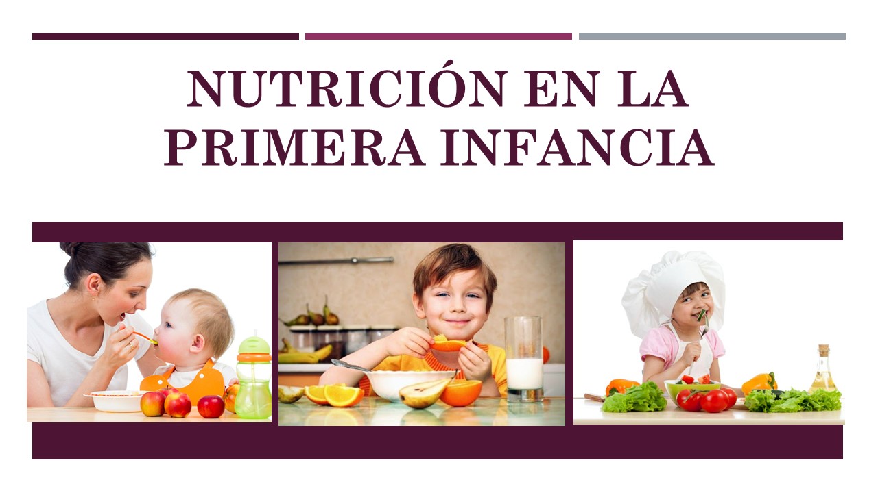 Curso Nutrición En La Primera Infancia Tema Introducción A La Nutrición 1624